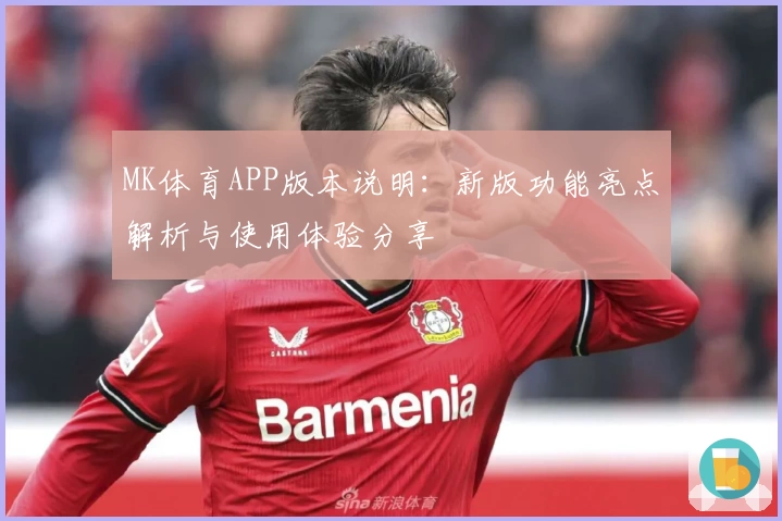 MK体育APP版本说明：新版功能亮点解析与使用体验分享