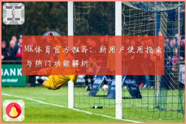MK体育官方推荐：新用户使用指南与热门功能解析